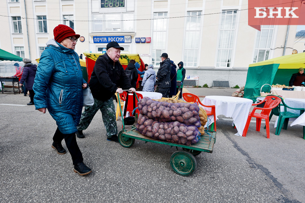 Продовольственная дефляция в Коми: упали цены на овощи и фрукты