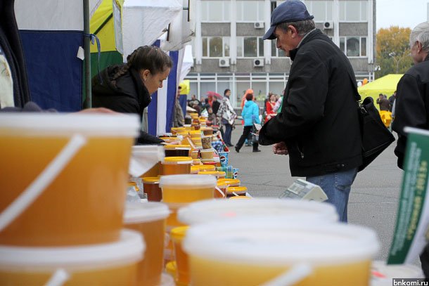 ANT_1907.jpg ANT_1907.jpg