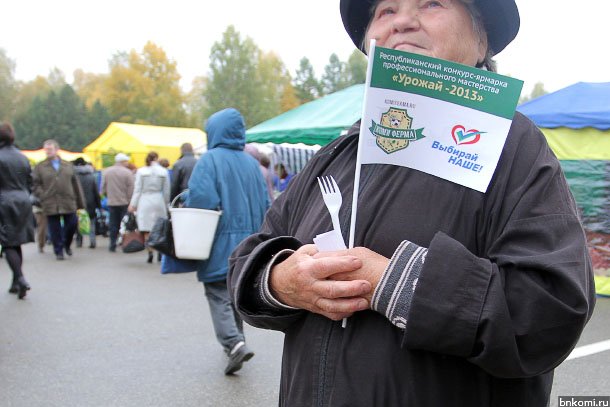 ANT_1911.jpg ANT_1911.jpg