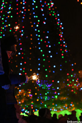 ANT_2911.jpg ANT_2911.jpg