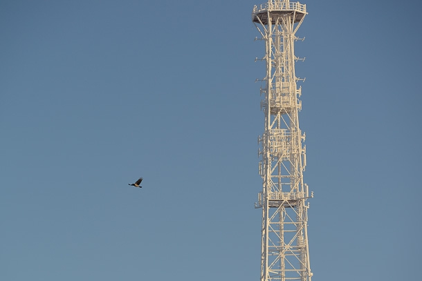 KBV_4738.jpg KBV_4738.jpg