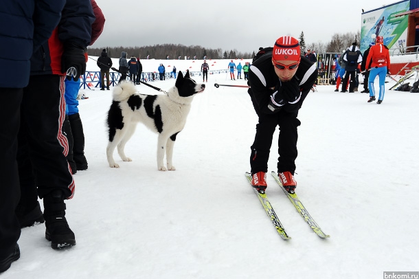 RET_2120.jpg RET_2120.jpg