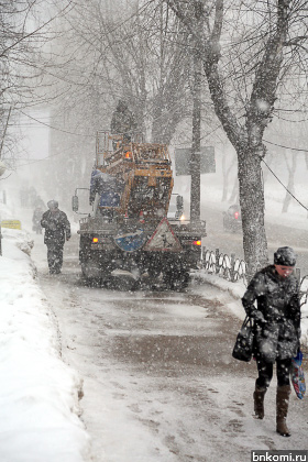 ANT_3371.jpg ANT_3371.jpg