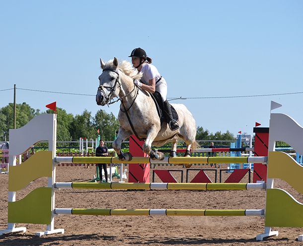 DSC_0867.jpg DSC_0867.jpg