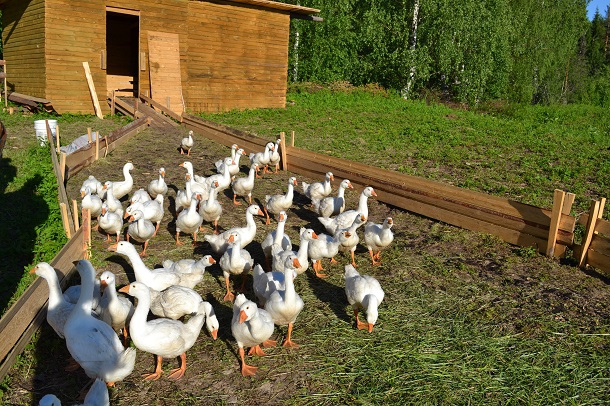 DSC_0048.JPG DSC_0048.JPG