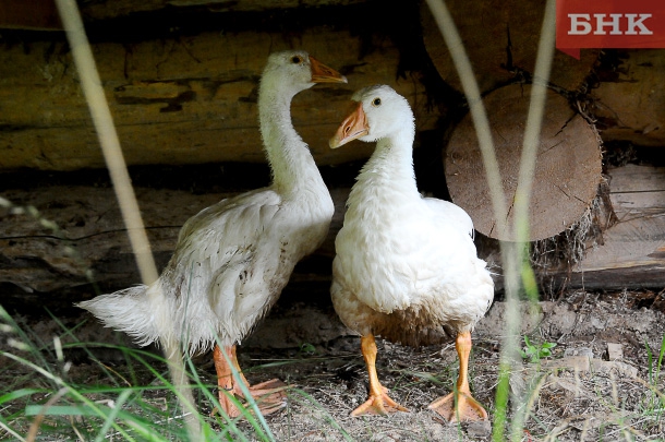 KAB_9464.jpg KAB_9464.jpg