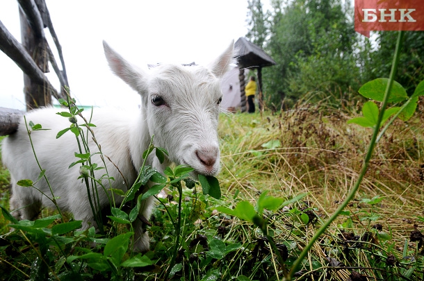 KAB_9483.jpg KAB_9483.jpg