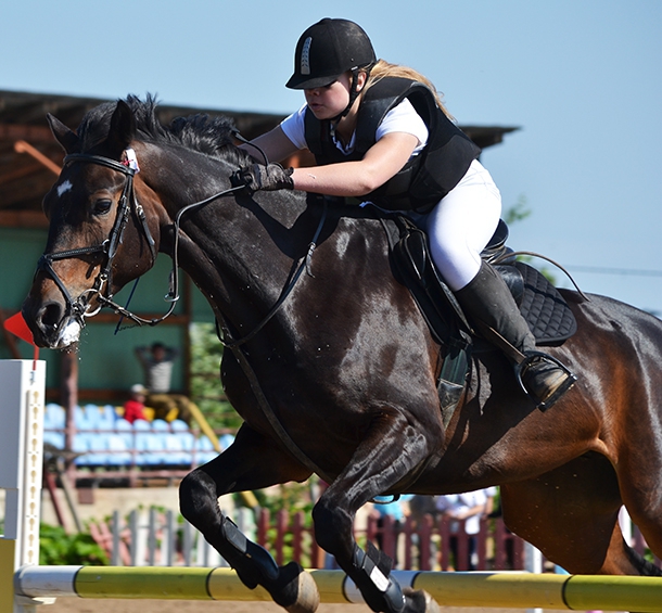 DSC_0883_preview_610.jpg DSC_0883_preview_610.jpg