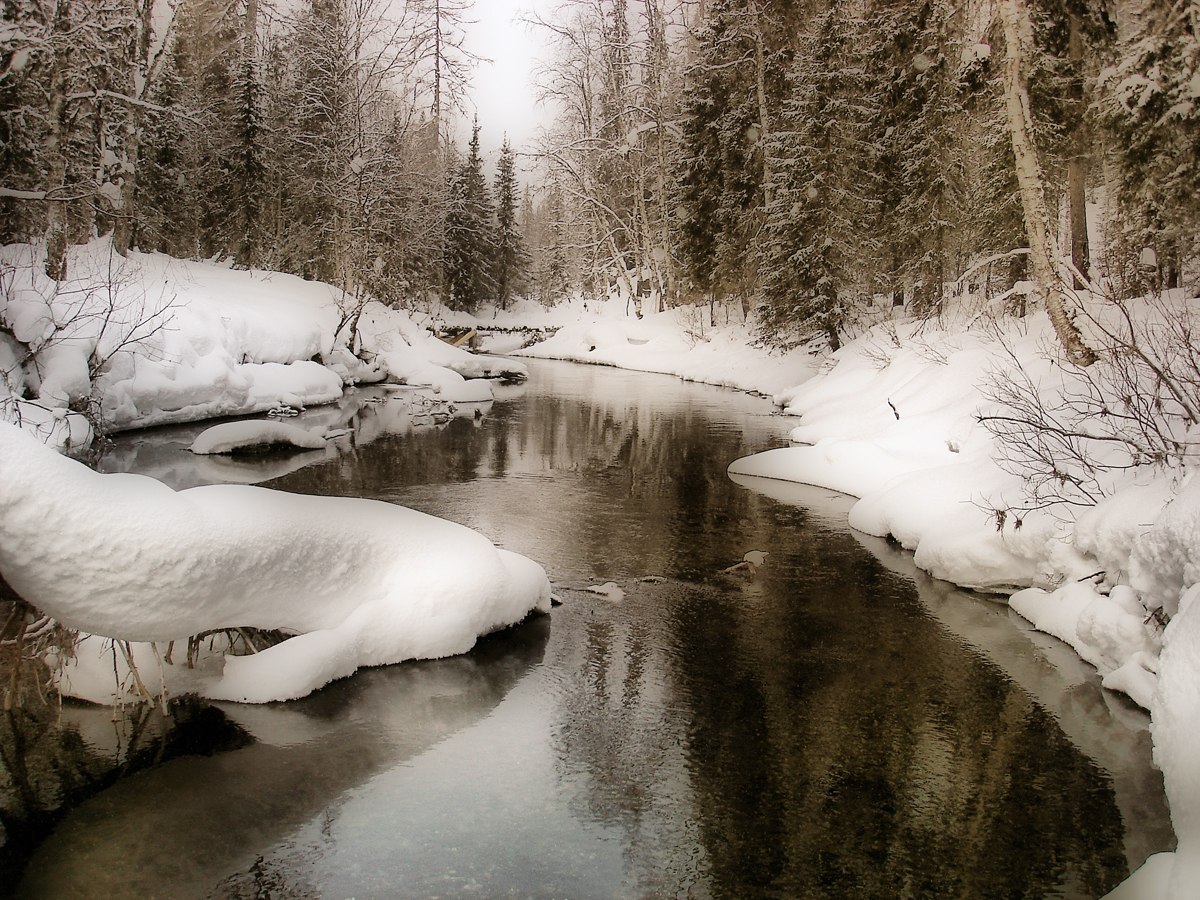 Республика Коми зима лес река