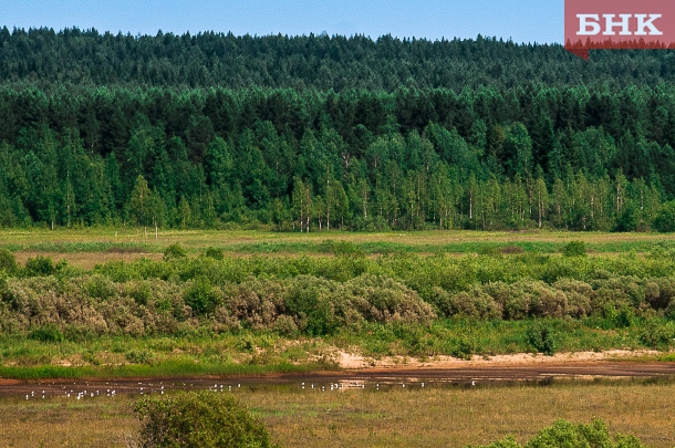 KIR_3336.jpg KIR_3336.jpg