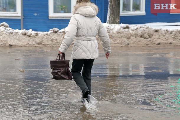 ANT_7542.jpg ANT_7542.jpg