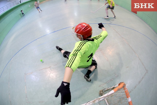 ANT_9513.jpg ANT_9513.jpg