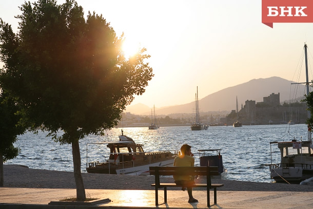 IMG_8126.jpg IMG_8126.jpg