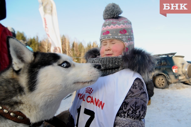 KIR_7600.jpg KIR_7600.jpg