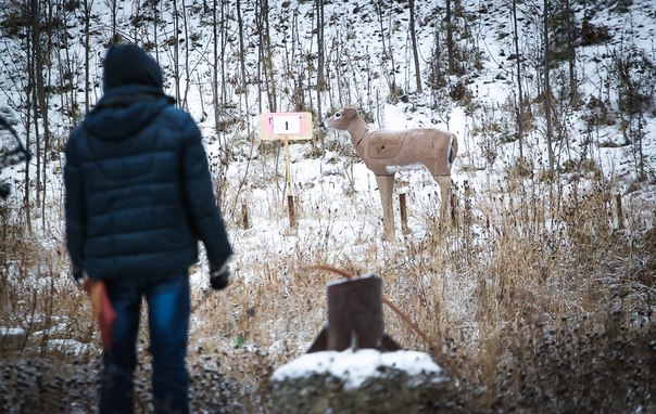 iM1oWk-FPZg.jpg iM1oWk-FPZg.jpg