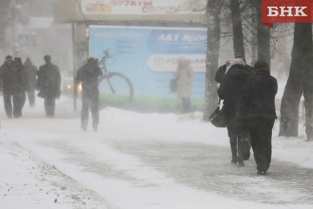 ANT_7808_preview_610.jpg ANT_7808_preview_610.jpg