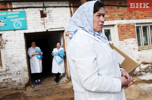 Работа пригородный сыктывкар. Совхоз Пригородный Сыктывкар. ООО Пригородный Сыктывкар. Молоко Пригородный Сыктывкар. Совхоз Пригородный Сыктывкар фото.