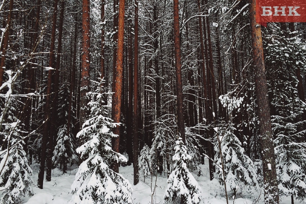 IMG_0335.JPG IMG_0335.JPG