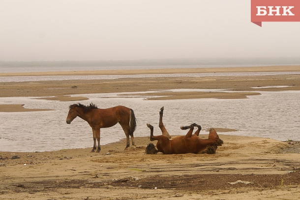 S8GPf83Yvqg.jpg S8GPf83Yvqg.jpg