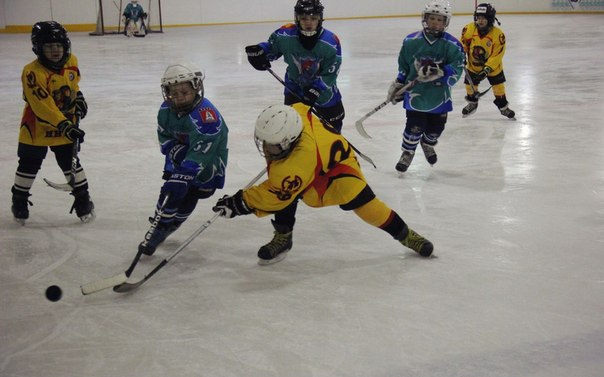 1Bk2cLSLZrY.jpg 1Bk2cLSLZrY.jpg