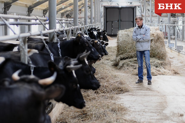 KIR_8520-copy.jpg KIR_8520-copy.jpg