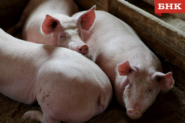 KIR_8533-copy.jpg KIR_8533-copy.jpg