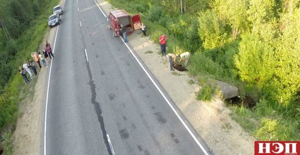 JLujrfeFb68.jpg JLujrfeFb68.jpg