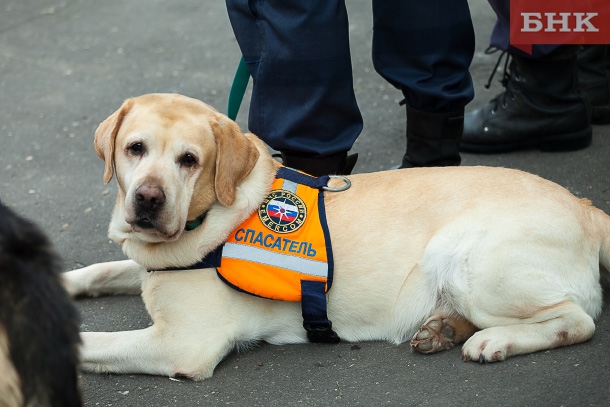 IMG_3219.jpg IMG_3219.jpg