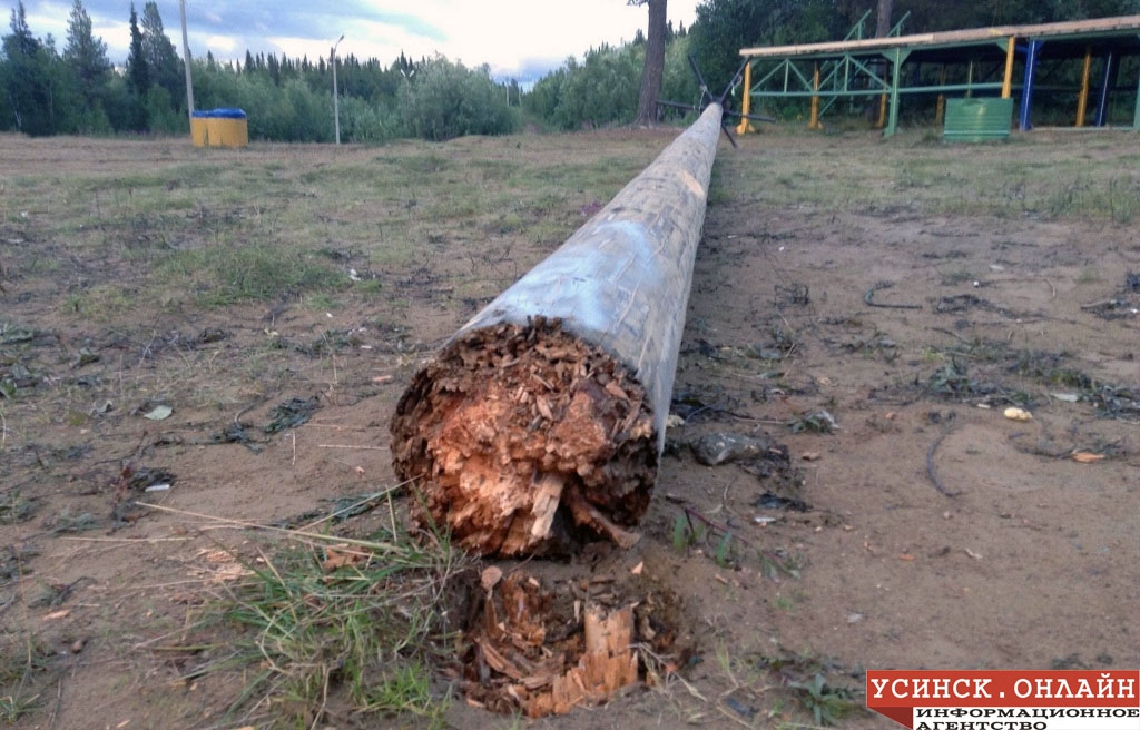 Найден столб. Упавшая деревянная опора. Деревянный столб упал. Прогнившая деревянная столб.