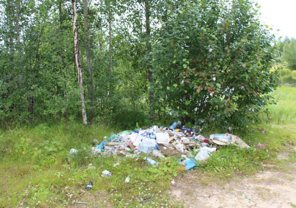 IMG_4162.JPG IMG_4162.JPG