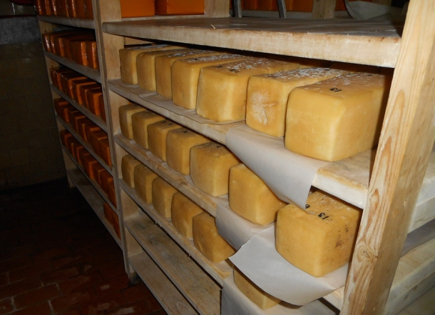 DSCN0501.JPG DSCN0501.JPG