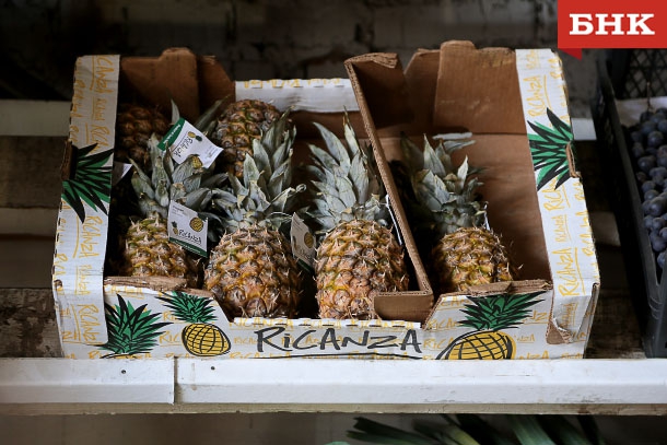 ANT_3655.jpg ANT_3655.jpg