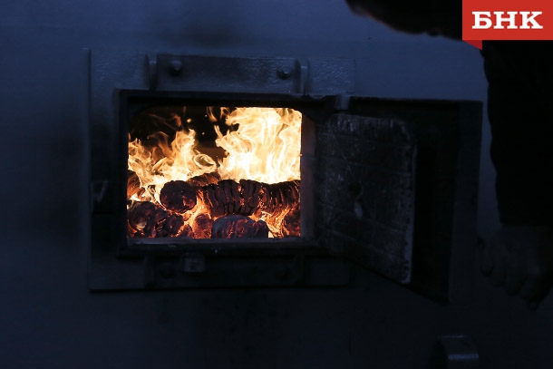 ANT_0241.jpg ANT_0241.jpg