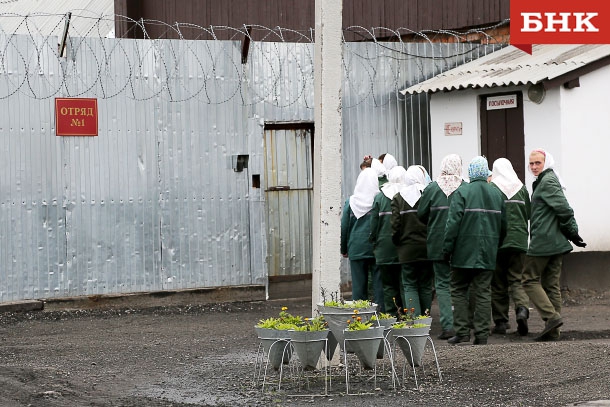 ANT_1195.jpg ANT_1195.jpg