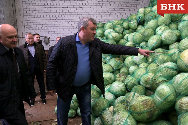 В Коми собрали овощей втрое больше запланированного