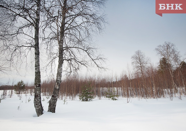 PSV_9643.jpg PSV_9643.jpg