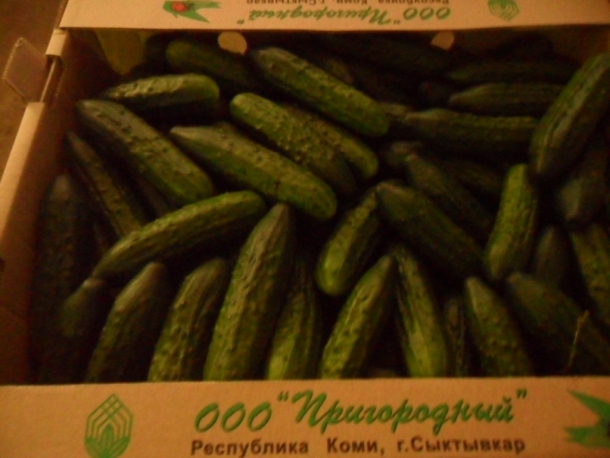 SAM_3223.JPG SAM_3223.JPG