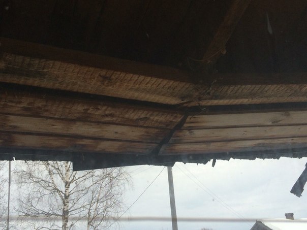 1458834135.jpg 1458834135.jpg