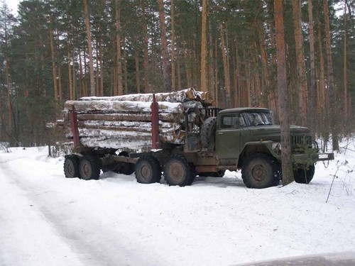 Урал лесовоз груженый