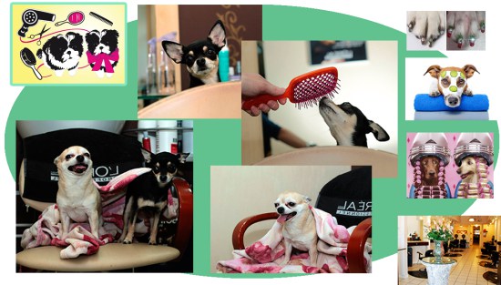 Salon-Krasoty.jpg Salon-Krasoty.jpg