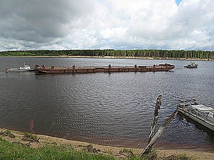 Снять Проституток из Глушково