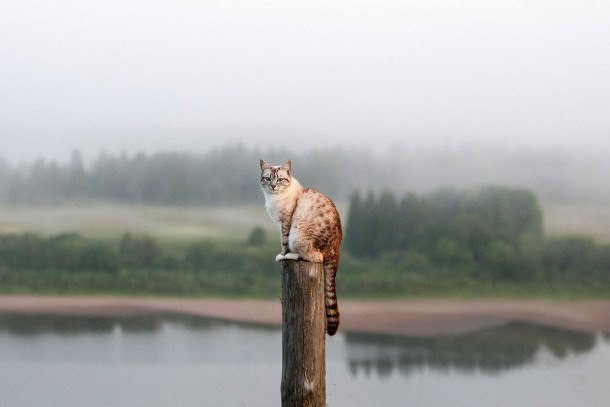 Фотокадр июля