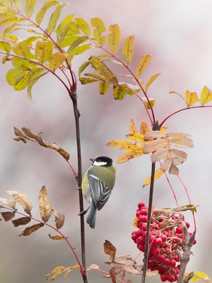 Фотокадр дня