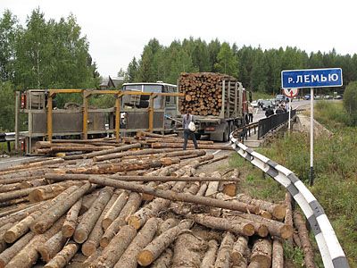 Помогите советом — наше дерево для клонирования поломал лесовоз