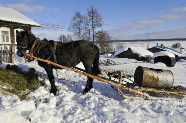 Фотокадр дня