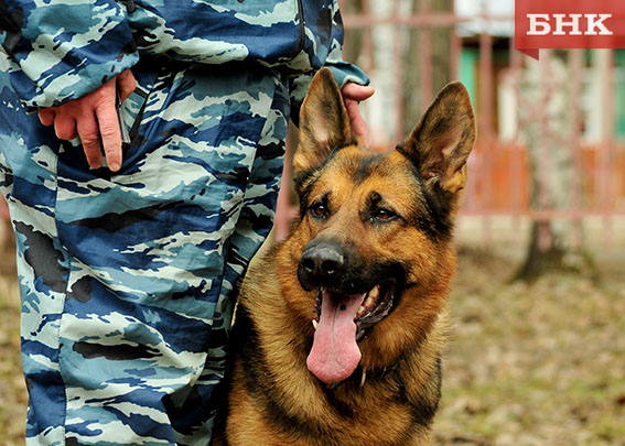 В Коми воспитанникам детского дома показали работу полицейской собаки 