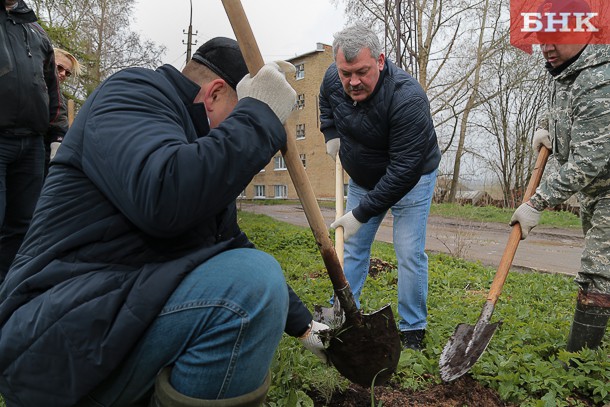 Глава Коми Сергей Гапликов посадил кедры в выльгортской аллее Героев