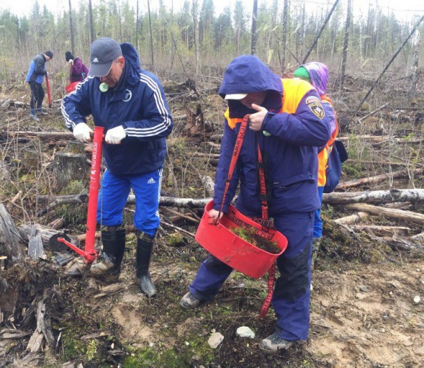 Сотрудники МЧС России по Коми поддержали Всероссийскую акцию «День посадки леса»