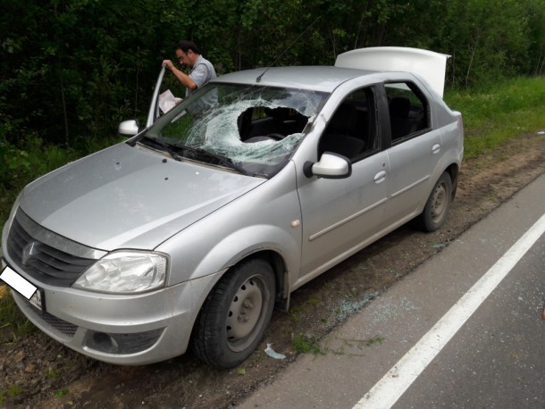 На трассе "Сыктывкар-Ухта" "взорвавшееся" колесо большегруза  пробило лобовое стекло Renault