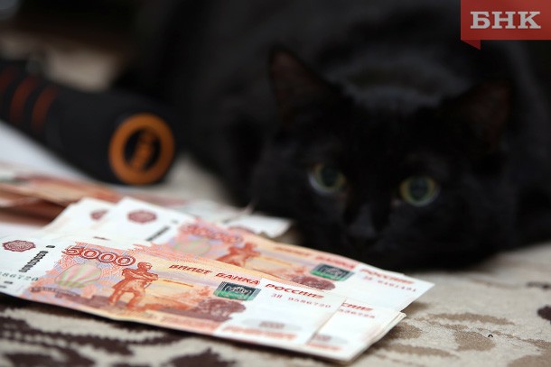 Жительница Коми случайно выкинула 130 тысяч рублей